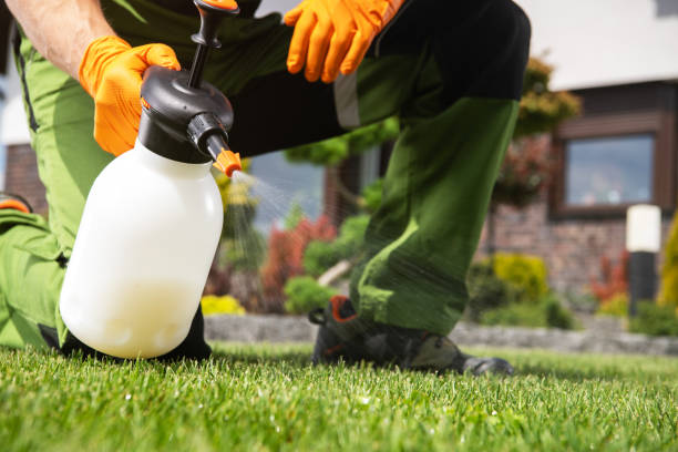 Best Local Pest Control Services  in Taylorsville, UT