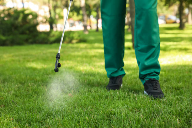 Best Termite Control Services  in Taylorsville, UT