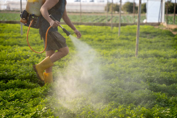 Best Best Pest Control Companies  in Taylorsville, UT