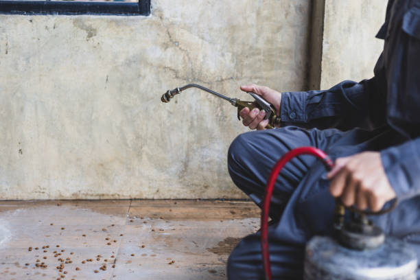 Best Pest Control for Businesses  in Taylorsville, UT